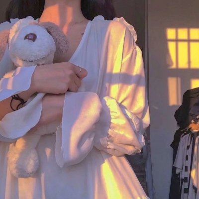 超完美狗保姆